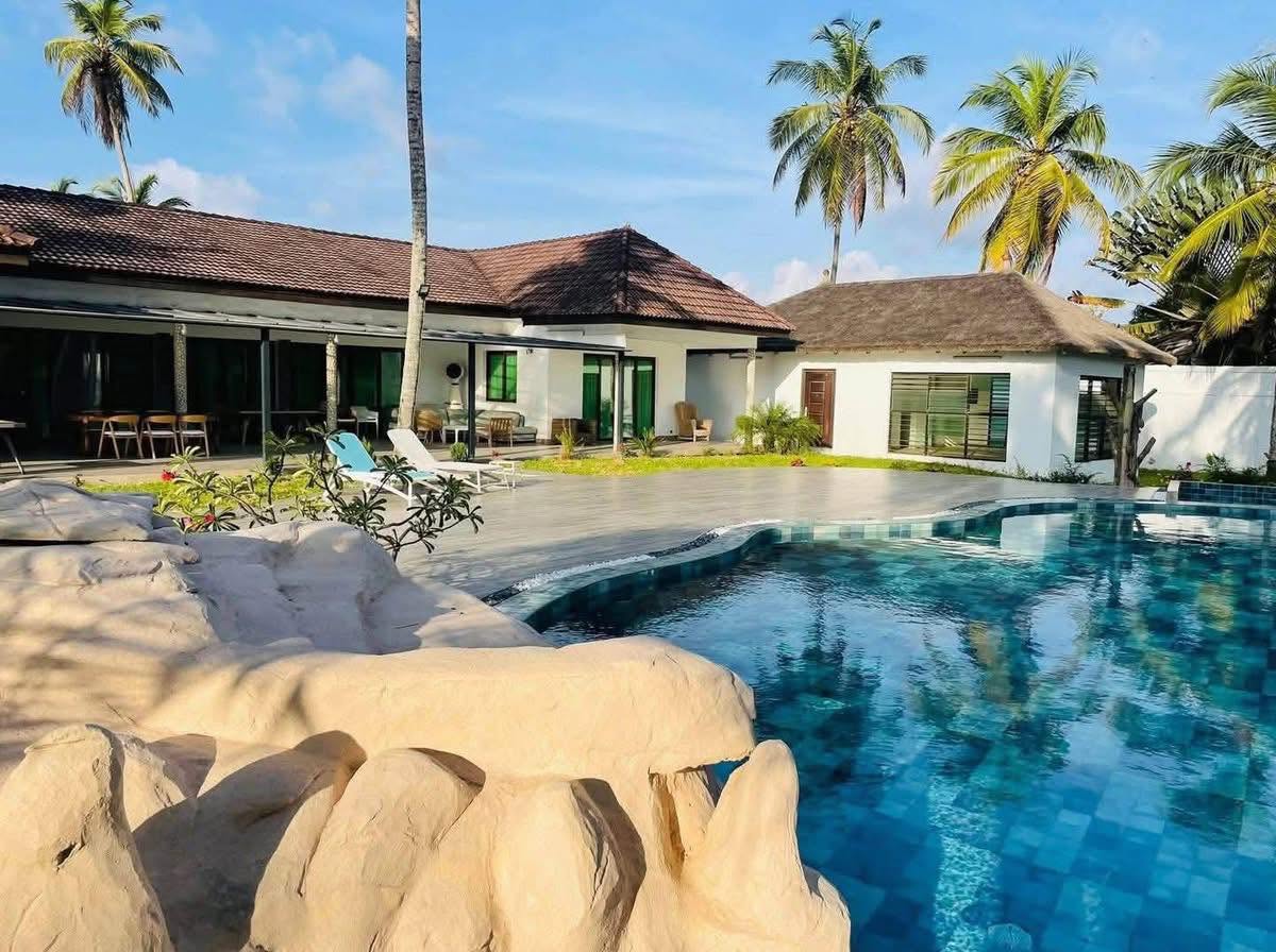 Piscine tropicale