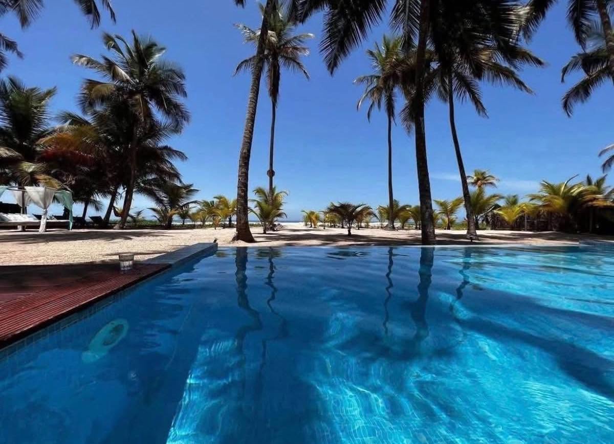 Piscine sous les palmiers